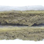 Two rectangular pieces of compressed material stacked horizontally, showing a layered interior texture and slightly rough surface on a plain background.