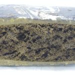Rectangular compressed block with a layered interior and textured surface, photographed on a plain background.