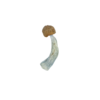 Penis Envy