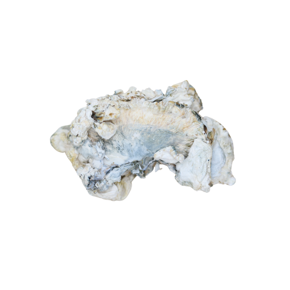 Hydro